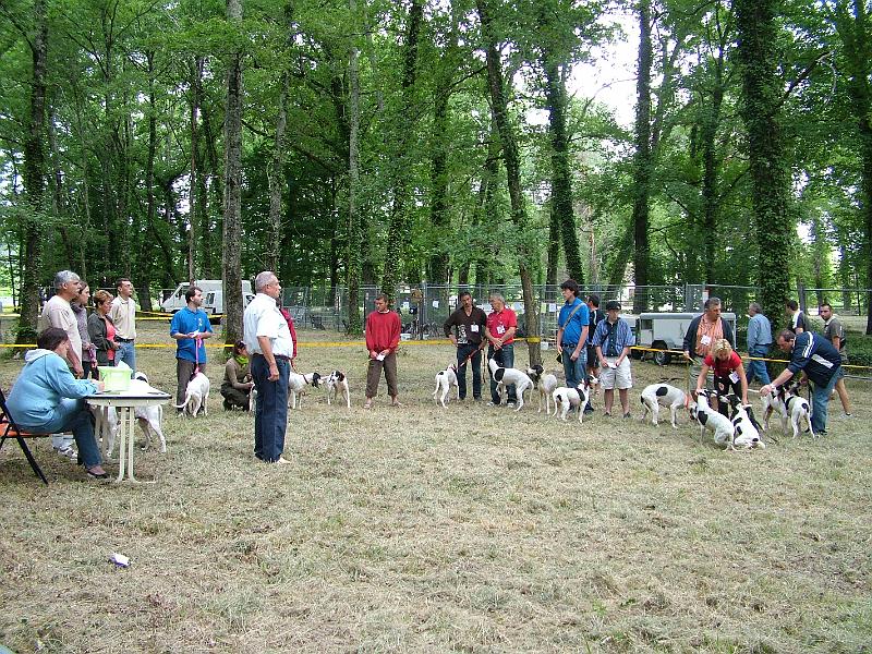 20 juillet 08 022.jpg